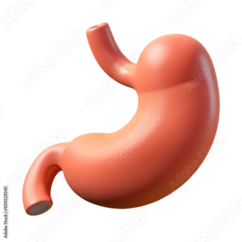 Human Organs Stomach 3d cartoon style illustration
