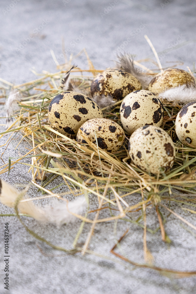 Obraz premium Fresh quail eggs. Rustic style 