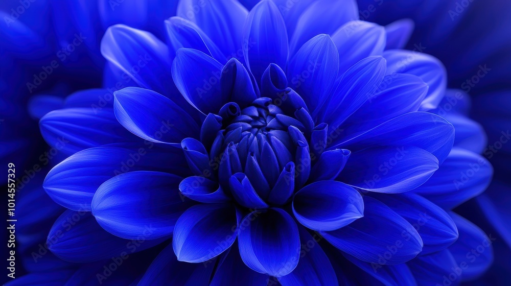 Stunning Blue Floral Background for Various Uses Stunning Blue Floral Background for Various Uses