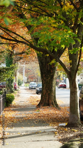 The beautiful little town landscape with the colorful autumn leaves and old buildings in USA
