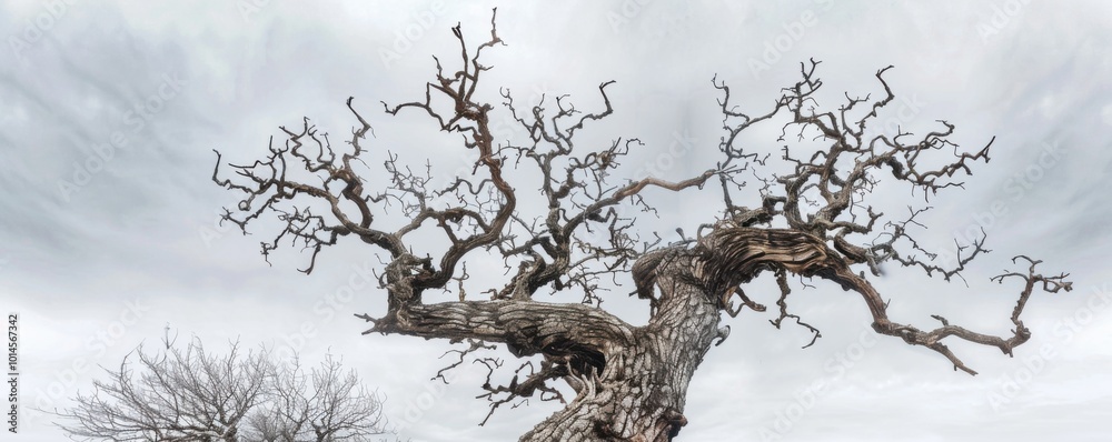 Obraz premium Withered and gnarled tree against a bleak winter sky, 4K hyperrealistic photo