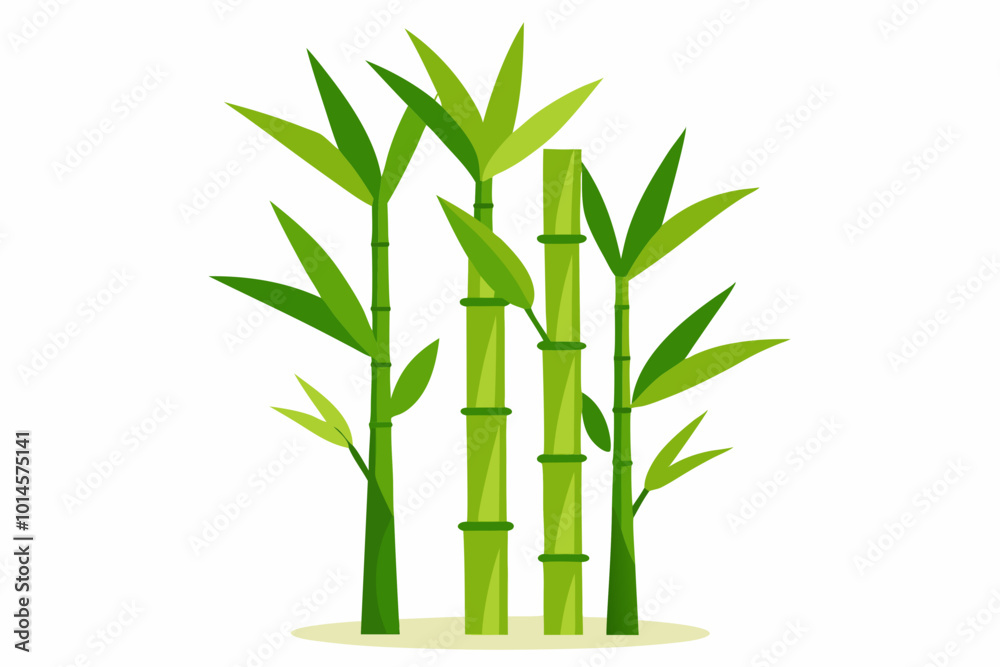 Fototapeta premium Bamboo Plants vector illustration 