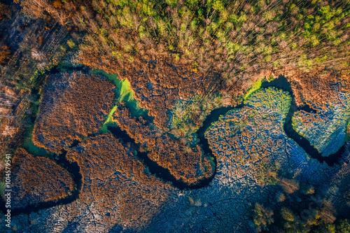 Top view of brown swamp in autumn, view from above