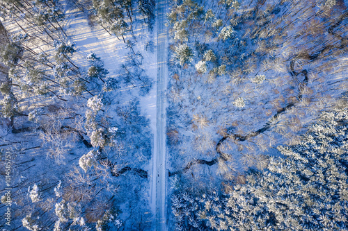 Snowy forest and road at wi...