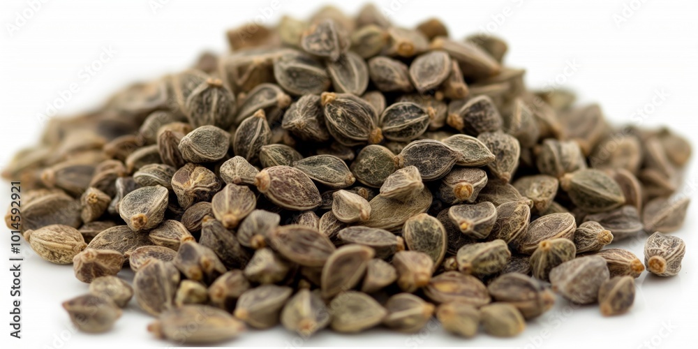 A close-up of a pile of castor seeds placed on a white background, showcasing their unique textures and natural earthy tones, arranged in a simple, organic presentation