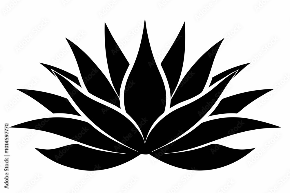 Agave, Agave plant silhouette vector, Cactus vector icon