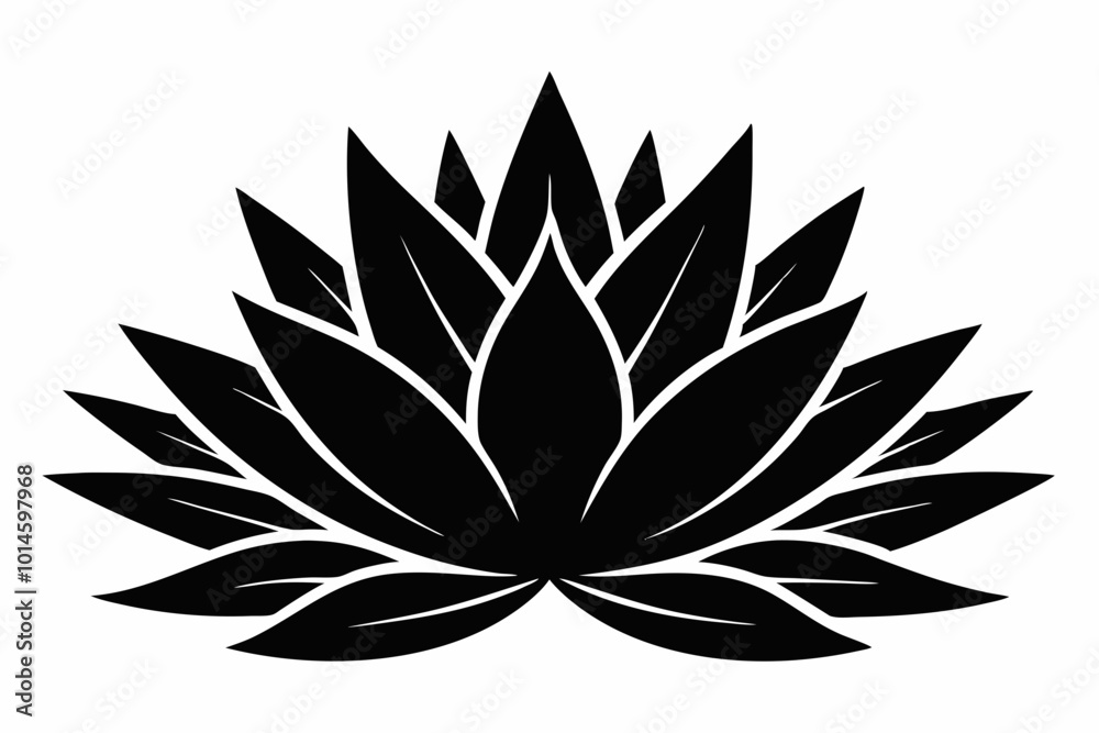 Agave plant vector, agave symbol, Cactus vector icon
Agave plant vector, agave symbol, Cactus vector icon