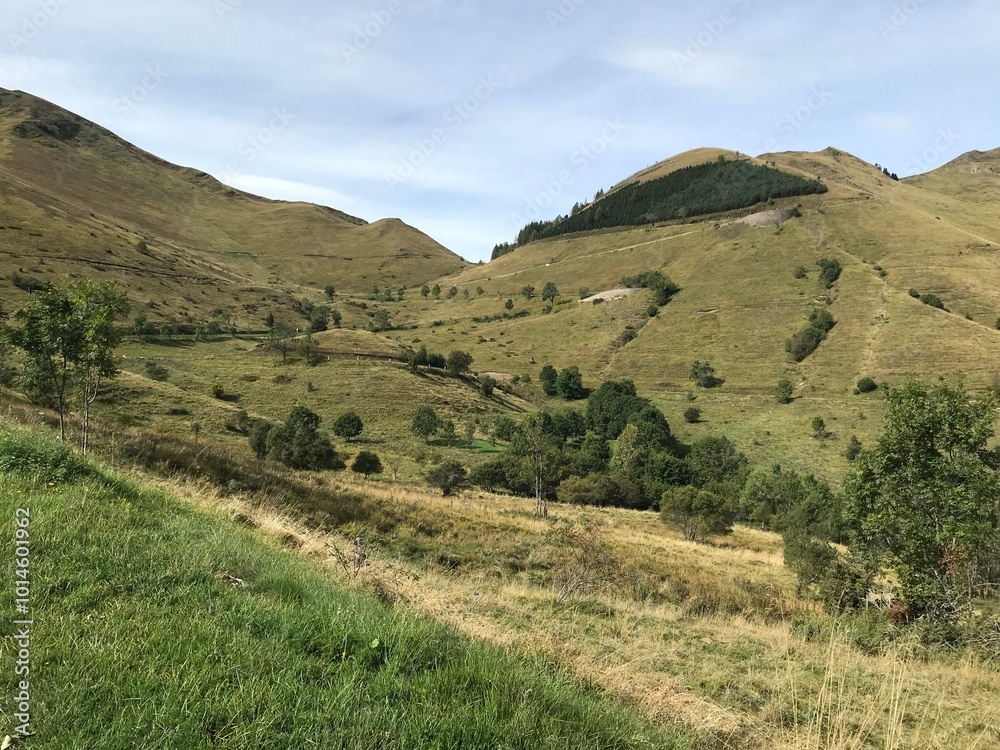 Fototapeta premium pyrenees nature landscape from the road
