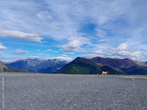 pyrenees nature landscape from the road photo