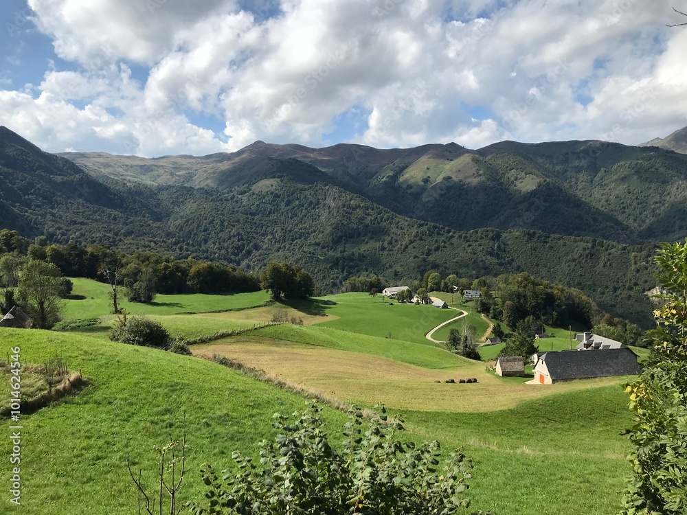 pyrenees nature landscape from the road pyrenees nature landscape from the road