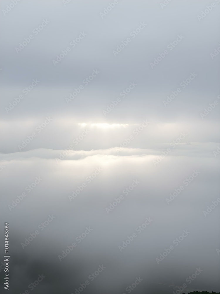Fototapeta premium A soft, overcast sky with rolling fog moving across the landscape, creating a mysterious, dreamy atmosphere with light breaking through in soft beams