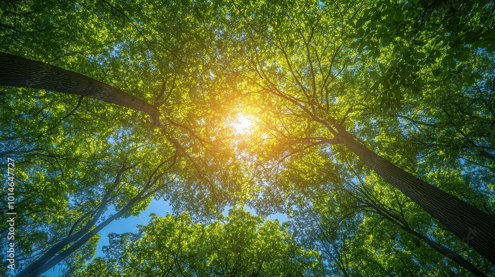 Fototapeta premium Regulatory compliance for achieving net-zero and carbon neutrality