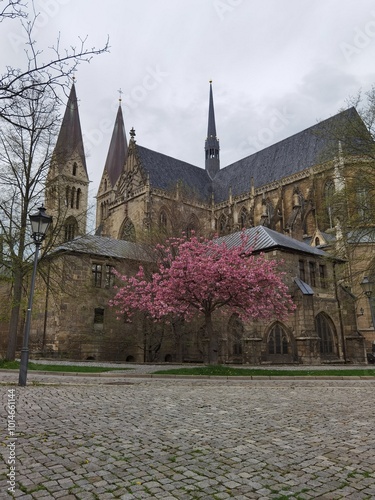 Цветение сакуры около замка