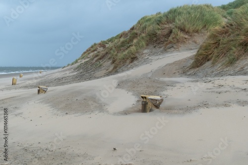 yellow garbage cans sunk in the sand, north sea, netherlands photo