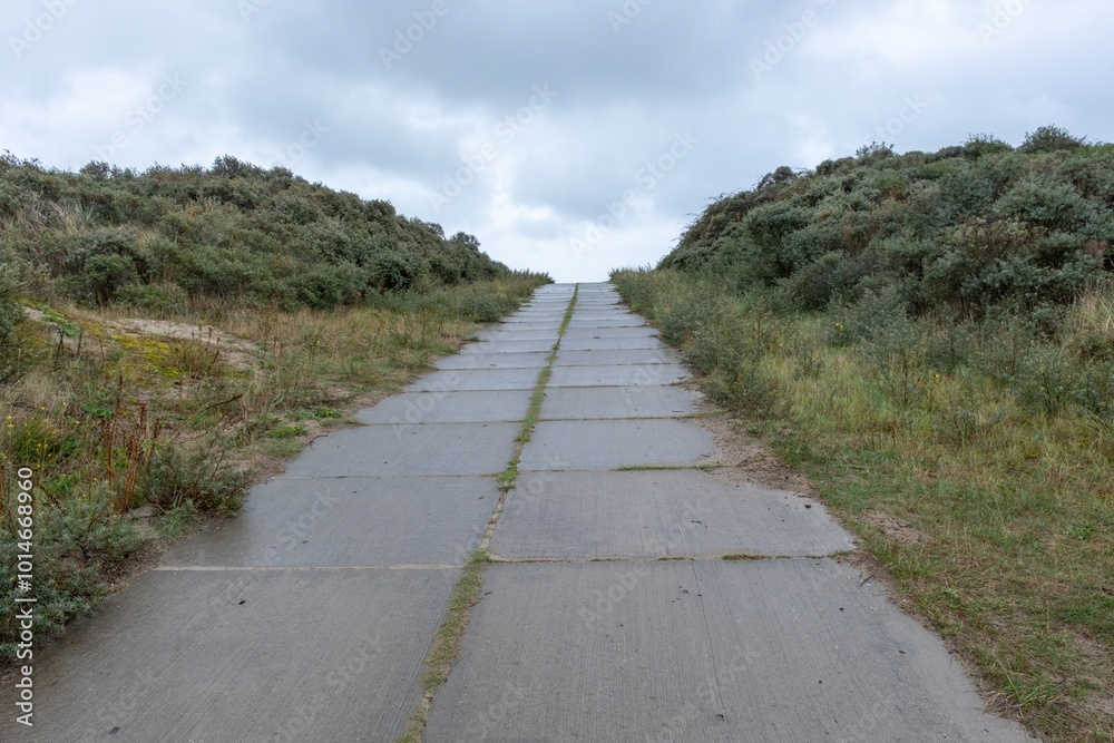 Fototapeta premium wet path on the coast of the north sea in cloudy autumn weather