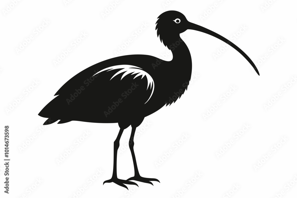 Ibis bird black silhouette, ibis bird animal vector illustration Ibis bird black silhouette, ibis bird animal vector illustration