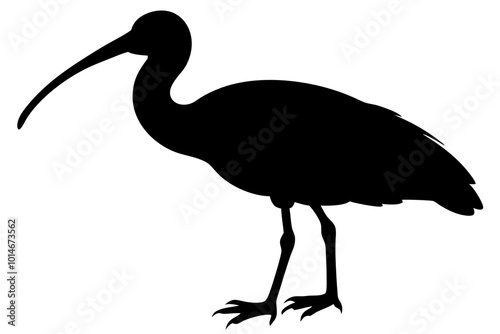 Ibis bird black silhouette, Spoonbill Vector, ibis bird animal vector illustration photo