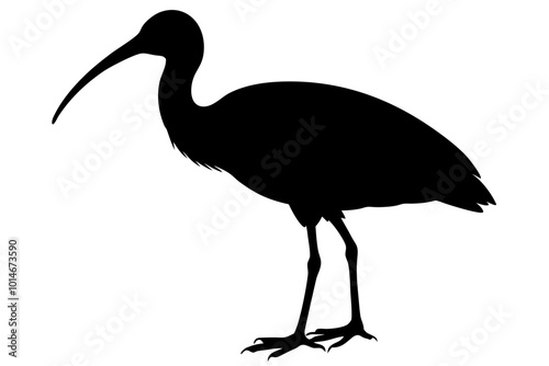 Ibis bird black silhouette, ibis bird animal vector illustration photo