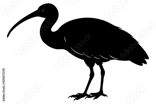 Ibis bird black silhouette, ibis bird animal vector illustration photo