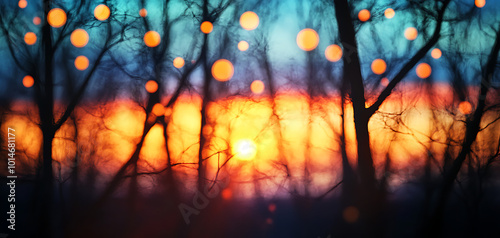 Stunning sunset through trees with bokeh lights, beautiful colors, tranquil atmosphere