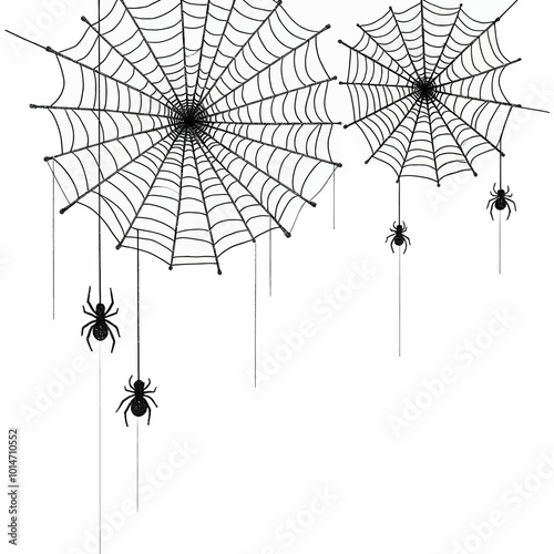 Spider Web With Hanging Spiders  
