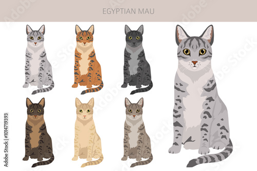 Egyptian Mau Cat clipart. All coat colors set.  All cat breeds characteristics infographic. Vector illustration