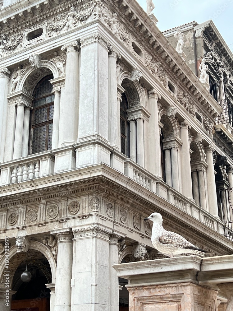 Fototapeta premium facade of the pantheon