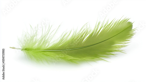 A bright green fluffy feather with fine detailed lines, placed on a white background. Its texture appears soft and light, with shimmering green gradients adding a sense of delicacy and airiness