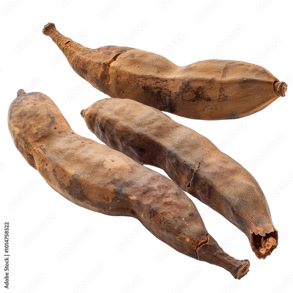 Dried Tamarind Pods Displaying Natural Texture and Color Variation Dried Tamarind Pods Displaying Natural Texture and Color Variation