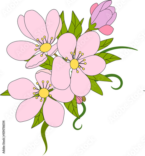 pink flower illustration photo