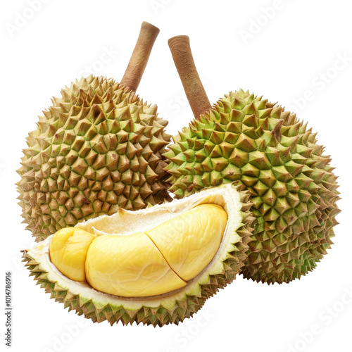 Fresh Durian Fruit with Spiky Shell and Creamy Yellow Flesh. photo