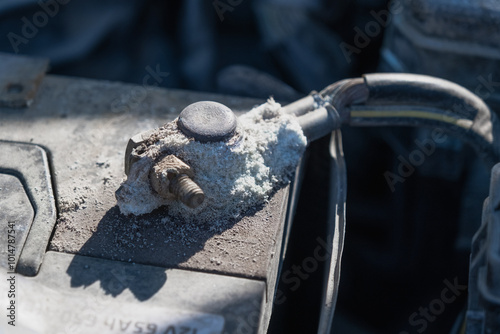 Wallpaper Mural Oxidized terminal on car battery. Untimely automobile maintenance Torontodigital.ca