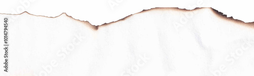 Burnt paper edges realistic vector illustration