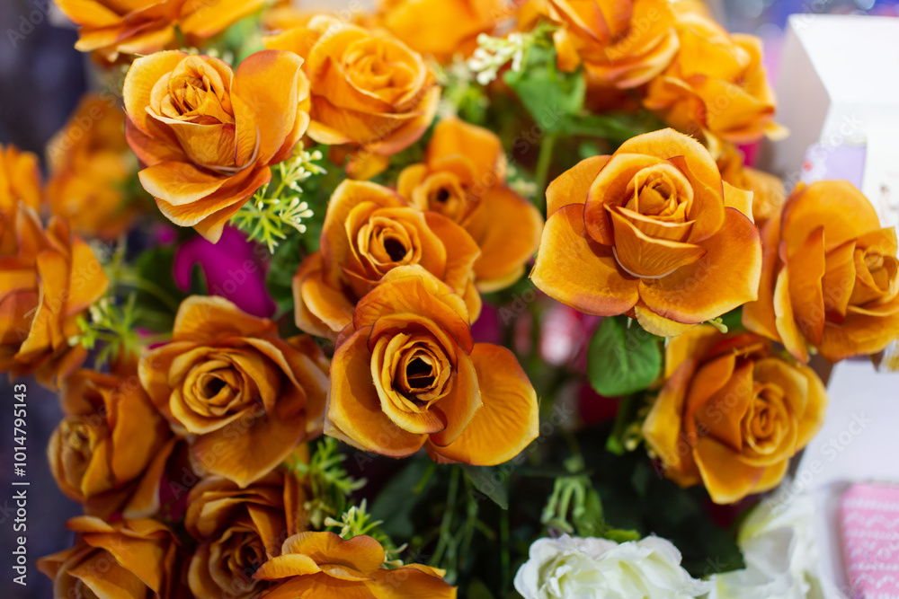 Golden yellow rose close-up photo Golden yellow rose close-up photo