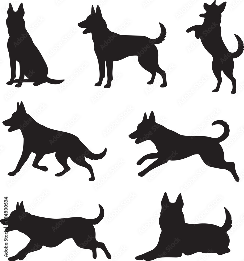 Belgian Malinois Dog Silhouette Vector Set
