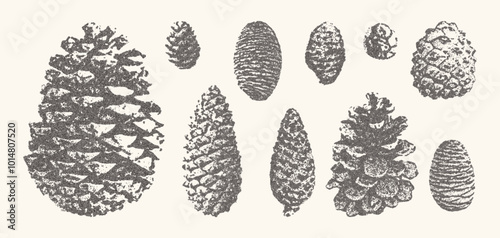 Pine cones set. Christmas stippling photocopy illustration
