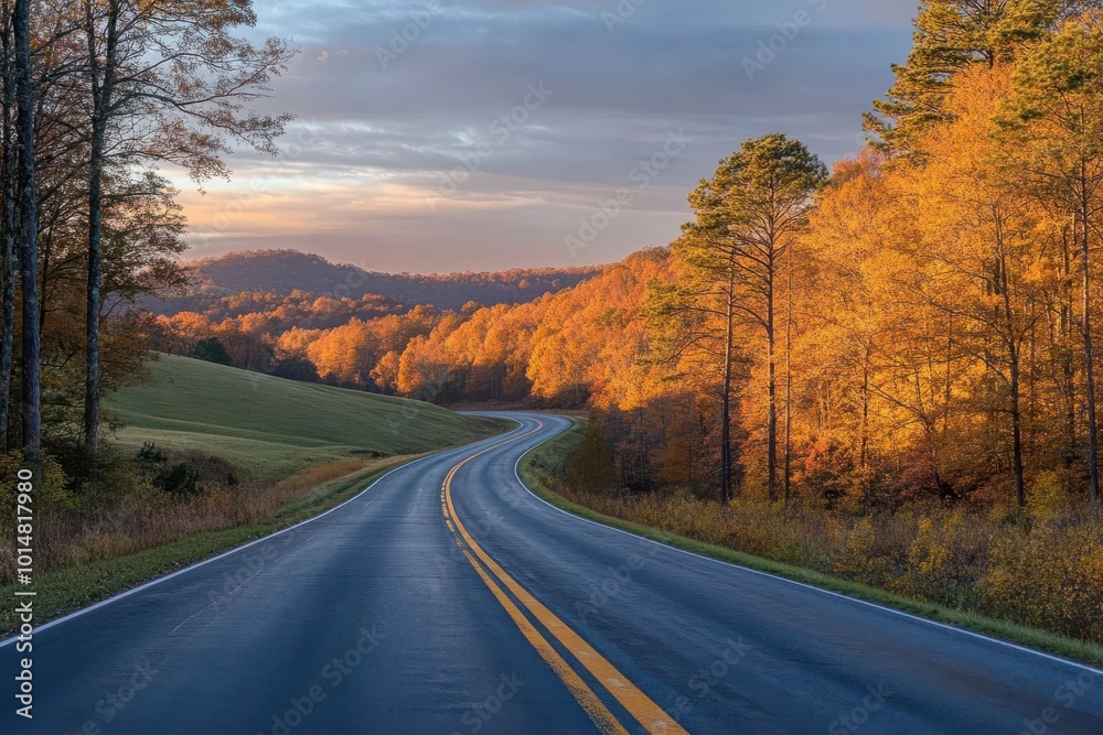 A highway running along the edge of a forest with rolling hills in the background A highway running along the edge of a forest with rolling hills in the background