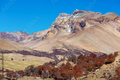 Autumn in Patagonia