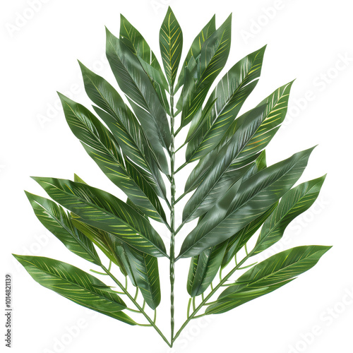 Lush Green Tropical Leaves Arranged in a Natural Design Shape.