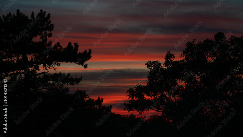 Atmospheric afterglow behind trees in silhouette. Atmospheric afterglow behind trees in silhouette.
