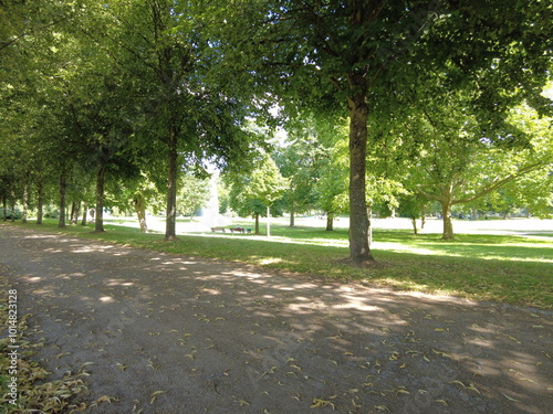 tree-lined walking path in the park