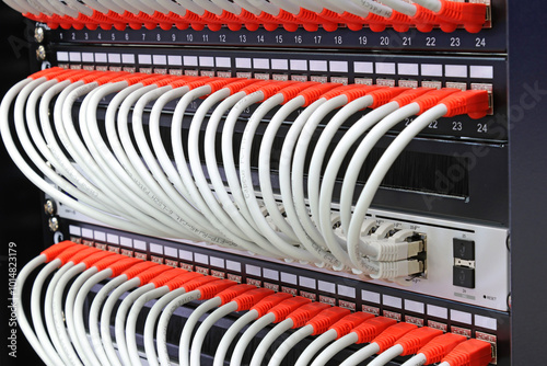 Ethernet switch for data transmission. Connection using patchcords of the 6th category. They are installed in a telecommunications rack. photo