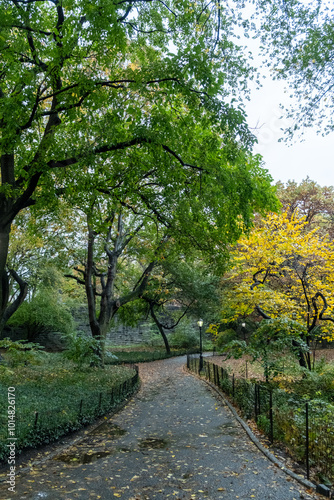 Central Park in Autumn