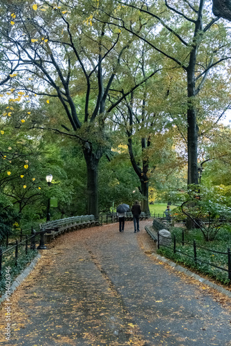 Central Park in Autumn