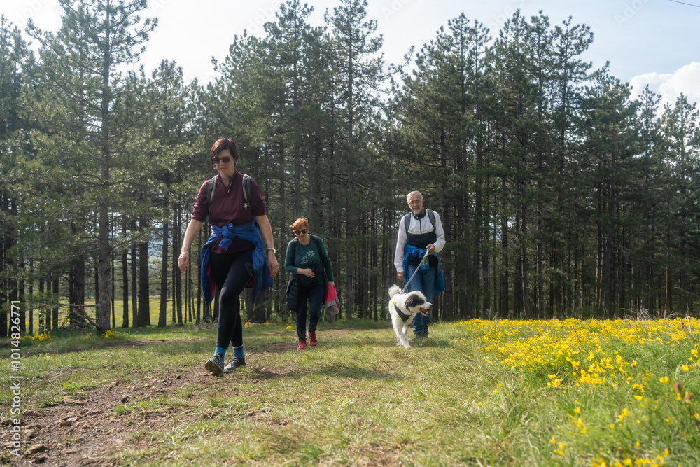 Multi generation family walking in line up the hill on a trail in a forest during a camping holiday, Zlatibor, Serbia. Happy senior father and mother with adult woman child have fun on weekend enjoy Multi generation family walking in line up the hill on a trail in a forest during a camping holiday, Zlatibor, Serbia. Happy senior father and mother with adult woman child have fun on weekend enjoy