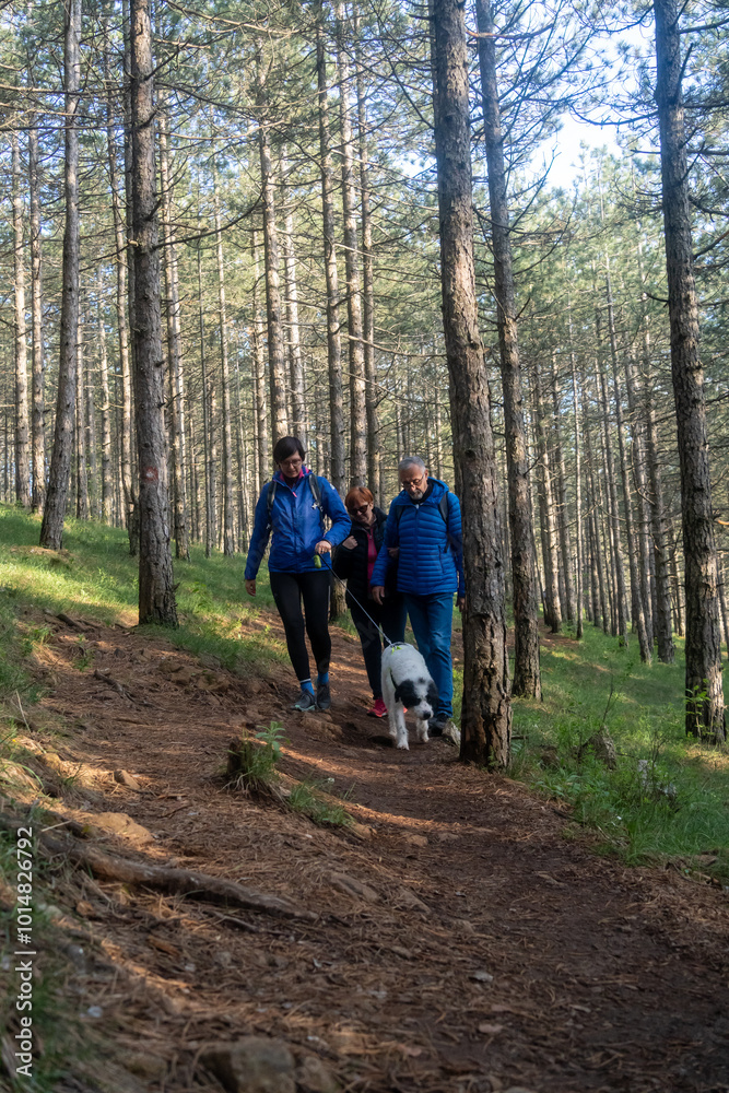 Multi generation family walking in line up the hill on a trail in a forest during a camping holiday, Zlatibor, Serbia. Happy senior father and mother with adult woman child have fun on weekend enjoy Multi generation family walking in line up the hill on a trail in a forest during a camping holiday, Zlatibor, Serbia. Happy senior father and mother with adult woman child have fun on weekend enjoy