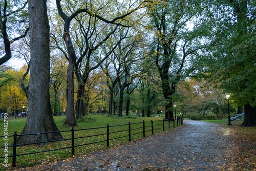 Central Park in Autumn