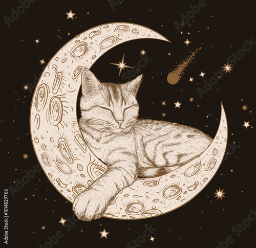Vector illustration of a cat sitting on the moon in engraving style