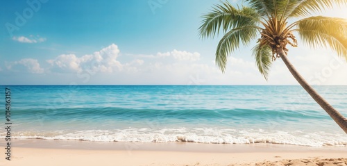 beach with palm trees