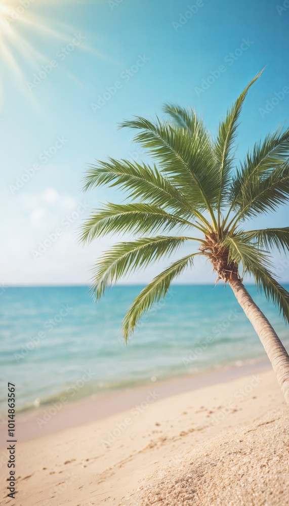 Obraz premium beach with trees